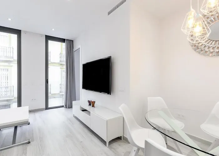 Apartment New And Bright-1bd 1bth- Centro *